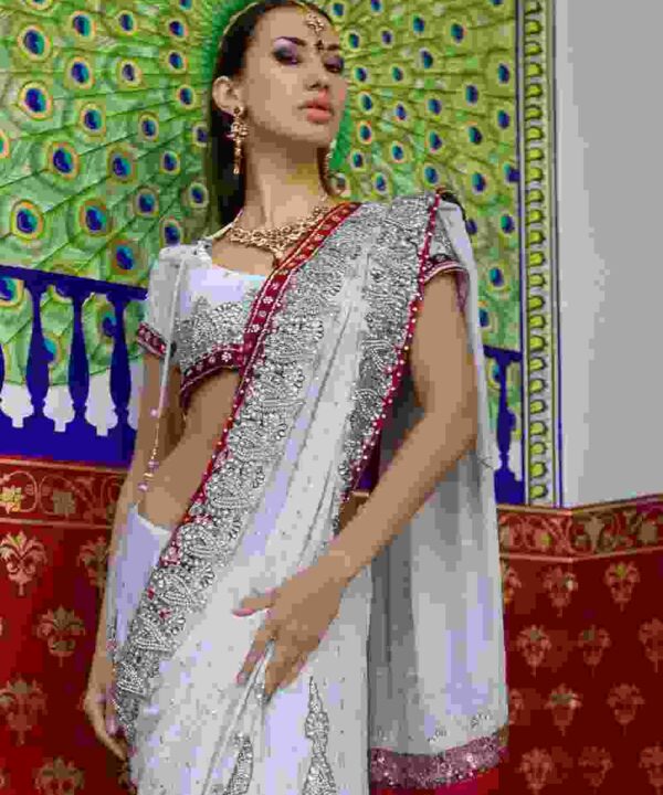 Fashion Georgette Saree